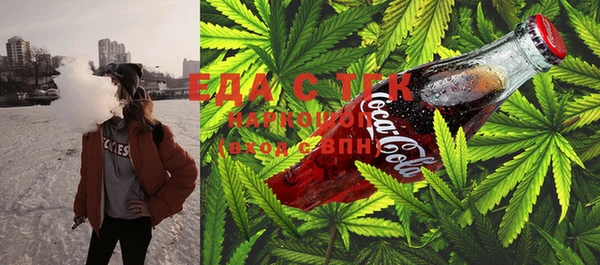 индика Заводоуковск