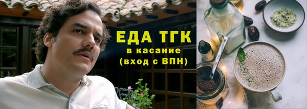 индика Заводоуковск