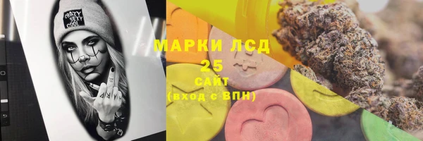 шишки Александровское