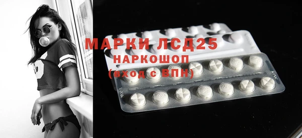 индика Заводоуковск