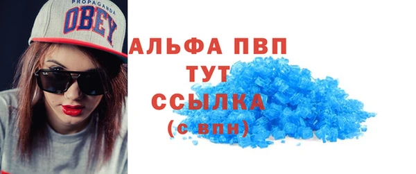 индика Заводоуковск
