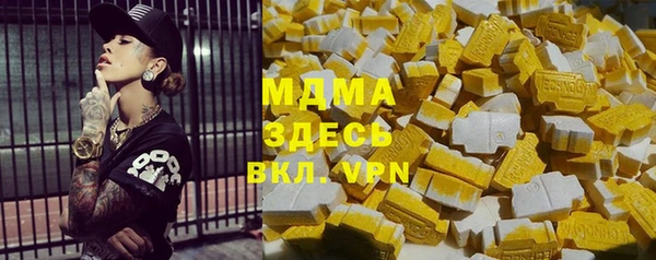 индика Заводоуковск