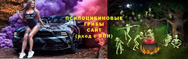 индика Заводоуковск