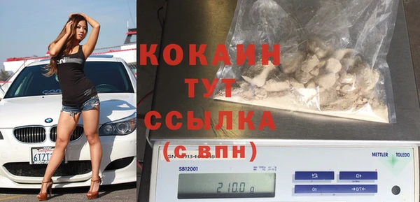 индика Заводоуковск