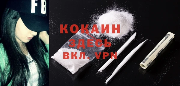индика Заводоуковск