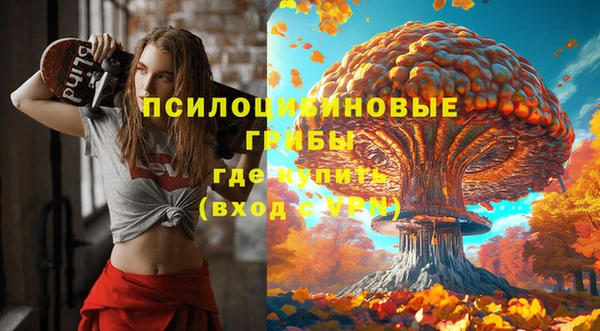 герыч Заволжск