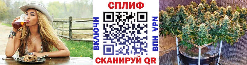 МЕГА вход  Заозёрск  Бошки Шишки White Widow 